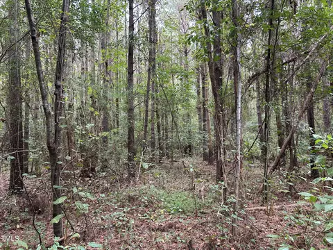 0 Bunnlevel Erwin Rd, Bunnlevel, NC 28323 photo 19