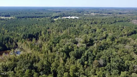 0 Bunnlevel Erwin Rd, Bunnlevel, NC 28323 photo 7