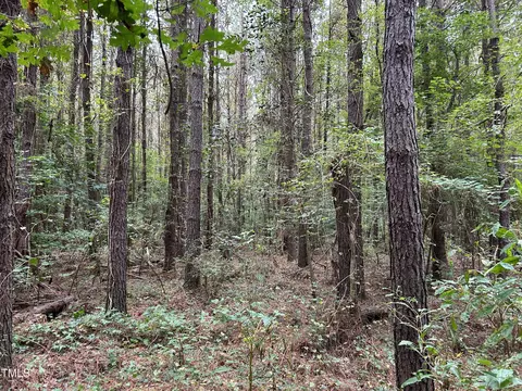 0 Bunnlevel Erwin Rd, Bunnlevel, NC 28323 photo 18