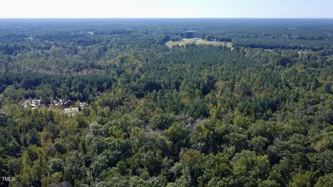 0 Bunnlevel Erwin Rd, Bunnlevel, NC 28323 photo 9