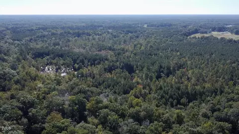 0 Bunnlevel Erwin Rd, Bunnlevel, NC 28323 photo 10