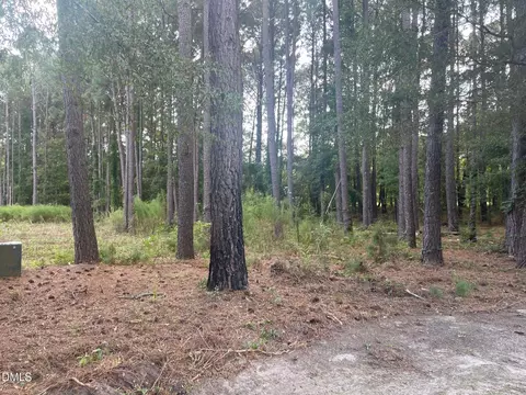 2313 Rigney Ct, Willow Springs, NC 27592