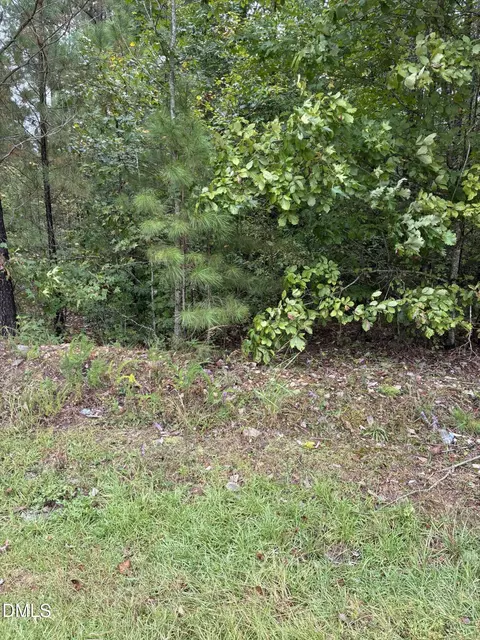 0 Gordon Moore Rd, Franklinton, NC 27525