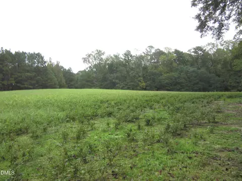 17 75 Acre Furney Pearce Rd, Zebulon, NC 27597
