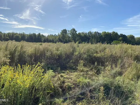 1 Wire Grass Rd, Orrum, NC 28369 photo 4