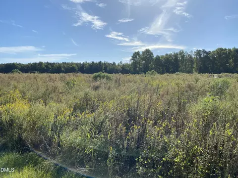 1 Wire Grass Rd, Orrum, NC 28369 photo 8