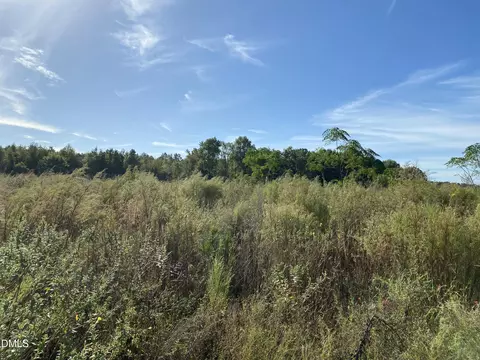 1 Wire Grass Rd, Orrum, NC 28369 photo 3