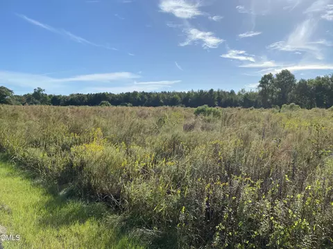 1 Wire Grass Rd, Orrum, NC 28369 photo 2