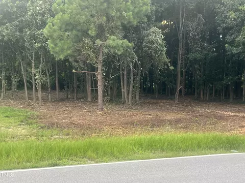 175 White Memorial Rd, Angier, NC 27501 photo 4