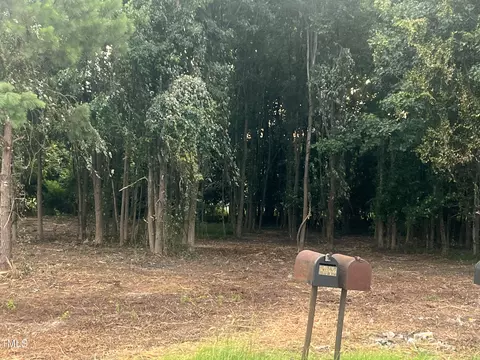 175 White Memorial Rd, Angier, NC 27501 photo 7