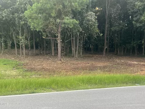 175 White Memorial Rd, Angier, NC 27501 photo 5