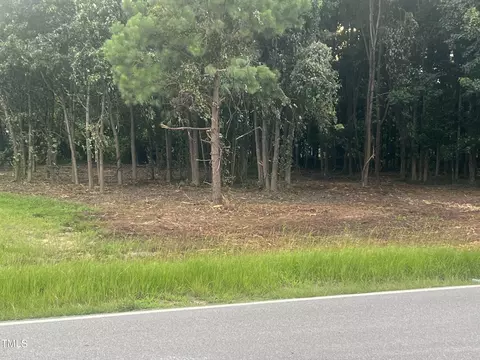175 White Memorial Rd, Angier, NC 27501 photo 6