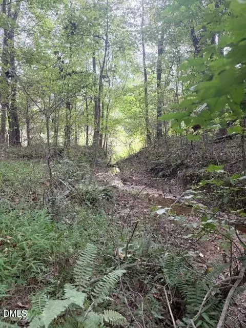 0 W Greensboro Chapel Hill Rd, Liberty, NC 27298