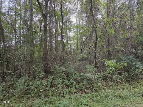 0 Camelia Rd, Benson, NC 27504 photo 8