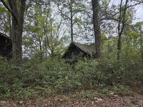0 Camelia Rd, Benson, NC 27504 photo 3