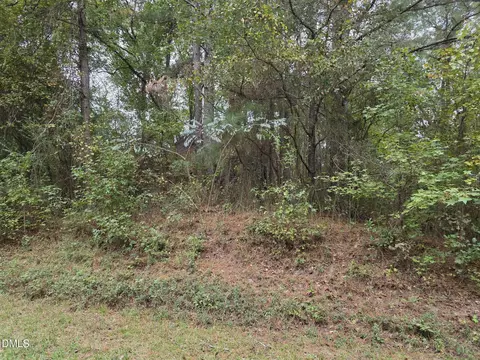 0 Camelia Rd, Benson, NC 27504 photo 7