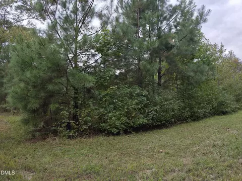 0 Camelia Rd, Benson, NC 27504 photo 6