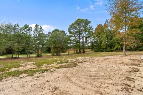 38 Emerald Ln, Broadway, NC 27505 photo 29