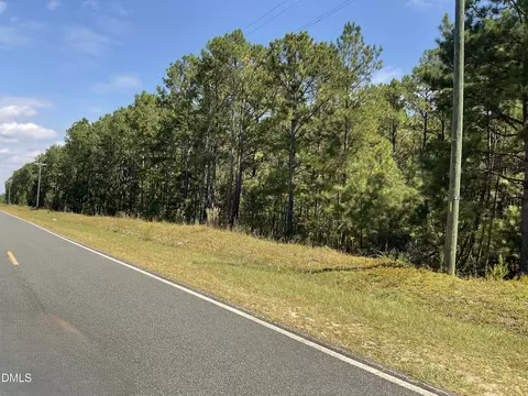 0 Sanderfer Rd, Bunnlevel, NC 28323 photo 6