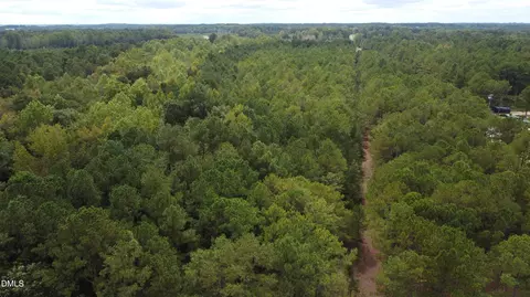 0 Sanderfer Rd, Bunnlevel, NC 28323 photo 4
