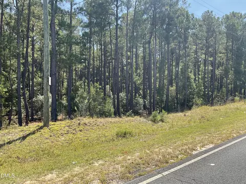 0 Sanderfer Rd, Bunnlevel, NC 28323 photo 7
