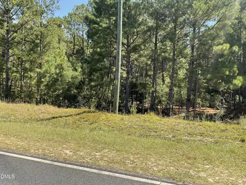 0 Sanderfer Rd, Bunnlevel, NC 28323 photo 9