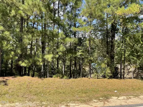 444 Sanderfer Rd, Bunnlevel, NC 28323 photo 6