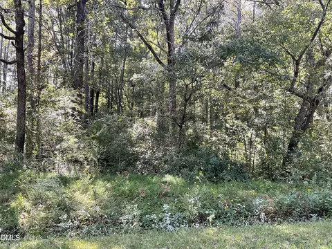 444 Sanderfer Rd, Bunnlevel, NC 28323 photo 8