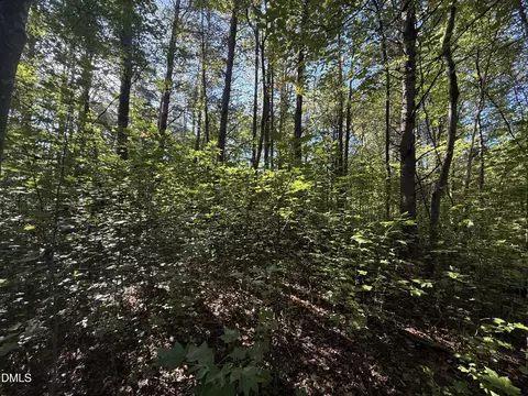 01 Meriwether Ln, Haw River, NC 27258 photo 11