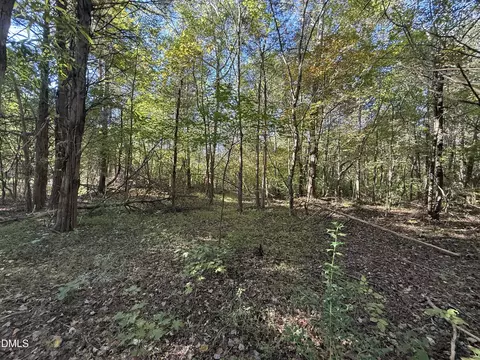 01 Meriwether Ln, Haw River, NC 27258 photo 20