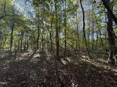 01 Meriwether Ln, Haw River, NC 27258 photo 24