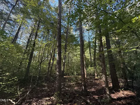 01 Meriwether Ln, Haw River, NC 27258 photo 13