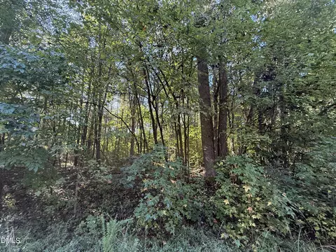 01 Meriwether Ln, Haw River, NC 27258 photo 29