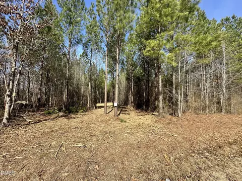 18 2 Acres Range Rd, Rougemont, NC 27572 photo 4