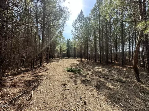 18 2 Acres Range Rd, Rougemont, NC 27572 photo 6