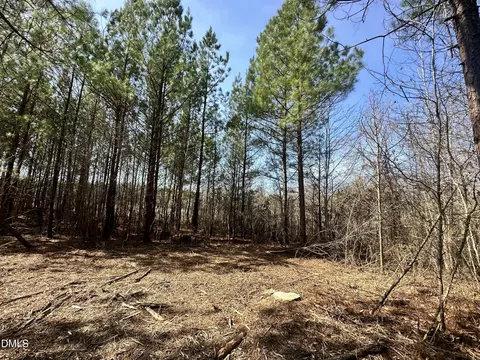 18 2 Acres Range Rd, Rougemont, NC 27572 photo 7