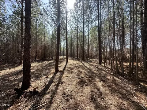 18 2 Acres Range Rd, Rougemont, NC 27572 photo 5