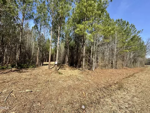 18 2 Acres Range Rd, Rougemont, NC 27572 photo 3