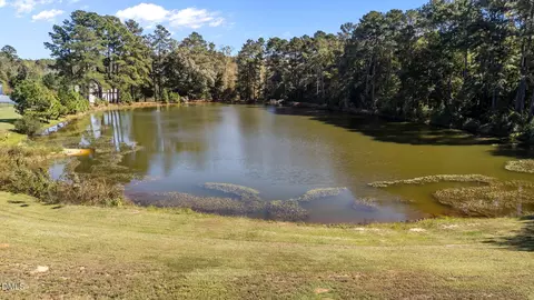 View/Area - 73 S Rabbit Run Dr, Smithfield, NC 27577 photo 2 of 4