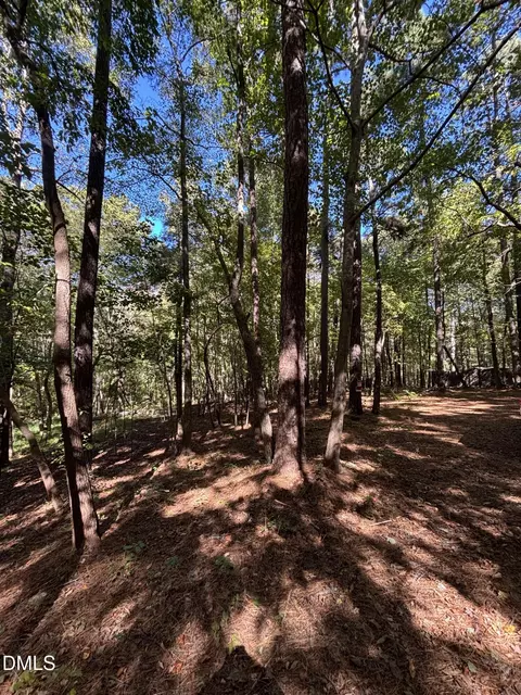 0 Reedy Creek Rd, Cary, NC 27513