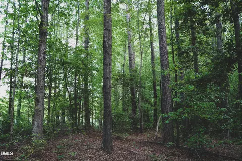 lot2 Arthur Wilder Rd, Spring Hope, NC 27882 photo 3