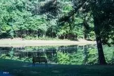 1367 Maryland Ct, Sanford, NC 27332