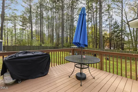 333 Greenleaf Rd, Angier, NC 27501 photo 17