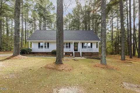 333 Greenleaf Rd, Angier, NC 27501 photo 5