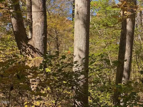 lot6 Sepelo Way, Efland, NC 27243