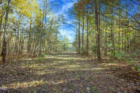 0 Blacks Rd, Macon, NC 27551 photo 2