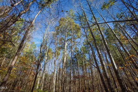 0 Blacks Rd, Macon, NC 27551 photo 12
