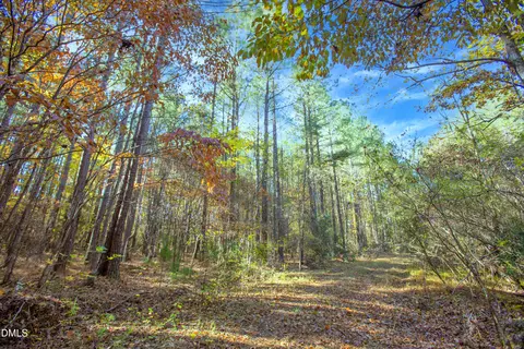 0 Blacks Rd, Macon, NC 27551 photo 4
