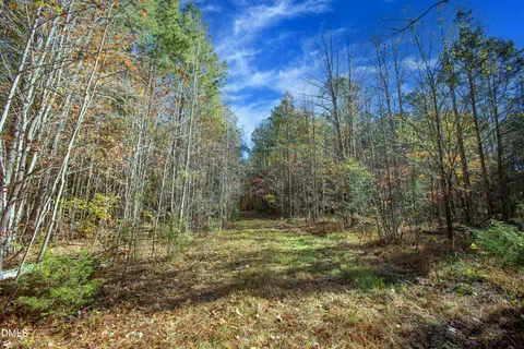 0 Blacks Rd, Macon, NC 27551 photo 9