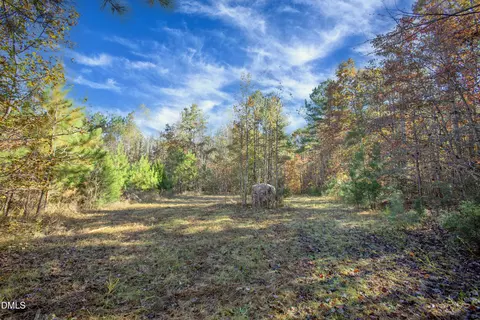 0 Blacks Rd, Macon, NC 27551 photo 5